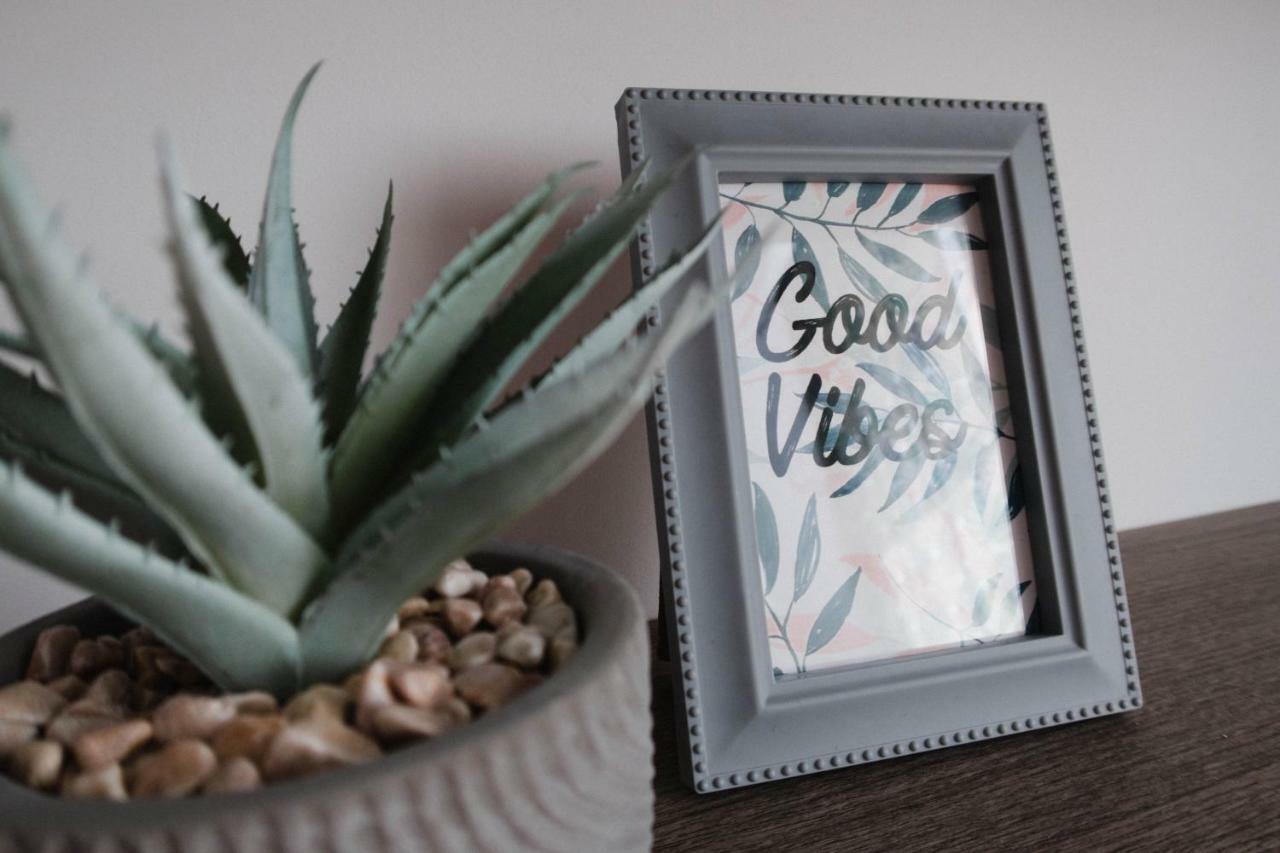 Good Vibes Apartment คัมพูลุง โมลโดเวเนสค์ ภายนอก รูปภาพ