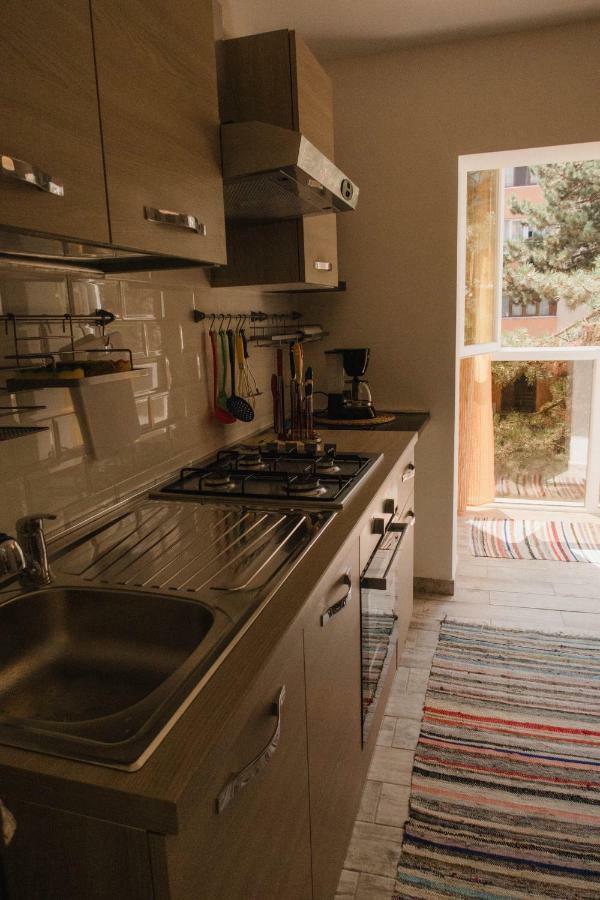 Good Vibes Apartment คัมพูลุง โมลโดเวเนสค์ ภายนอก รูปภาพ